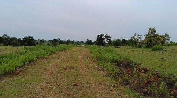 An image of land