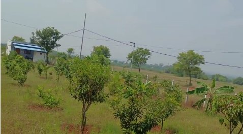 An image of land