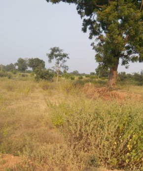 An image of land