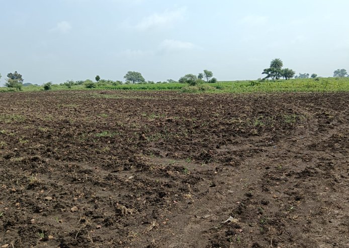 An image of land