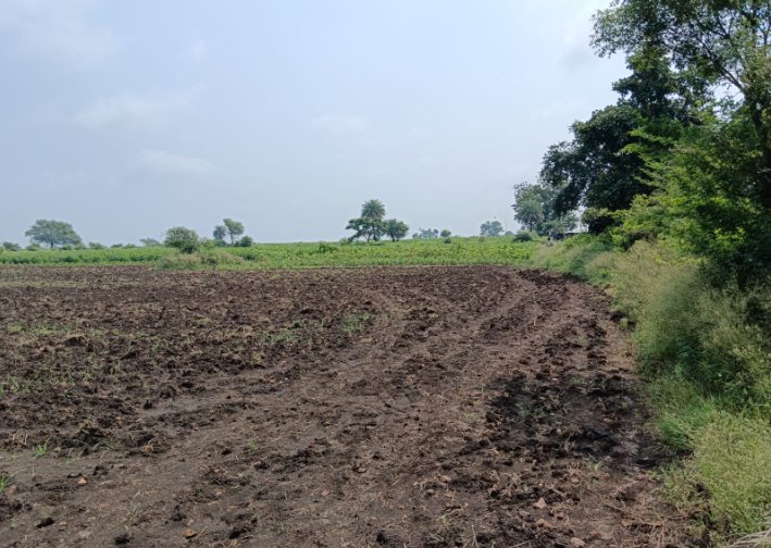 An image of land