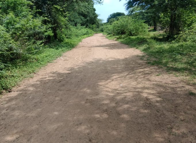 An image of land
