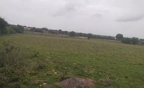 An image of land