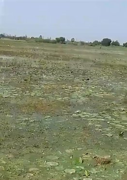 An image of land