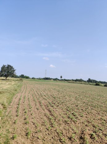 An image of land