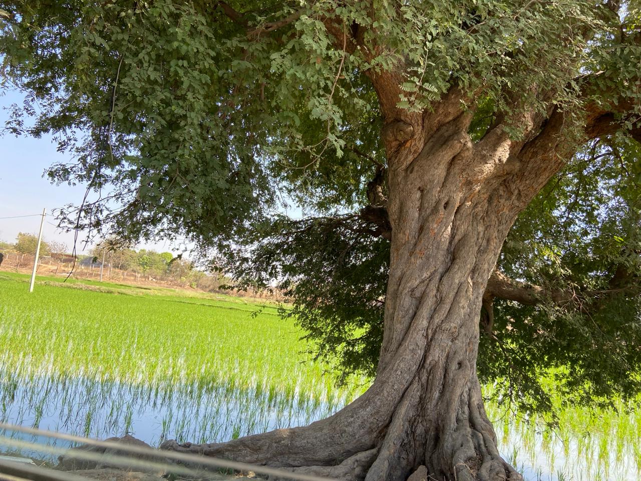 An image of land
