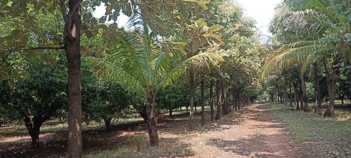 An image of land