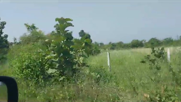 An image of land