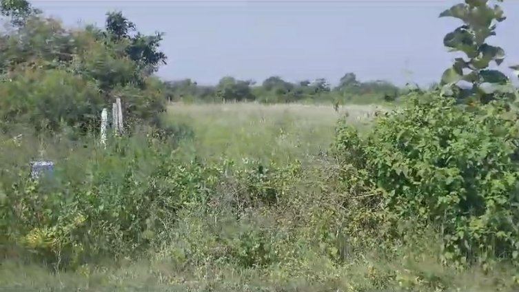 An image of land