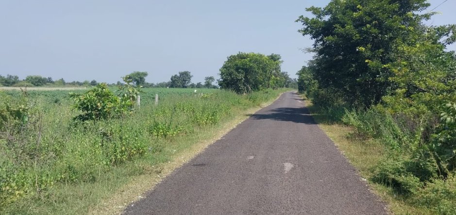 An image of land
