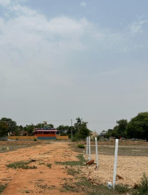 An image of land
