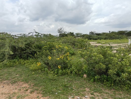 An image of land