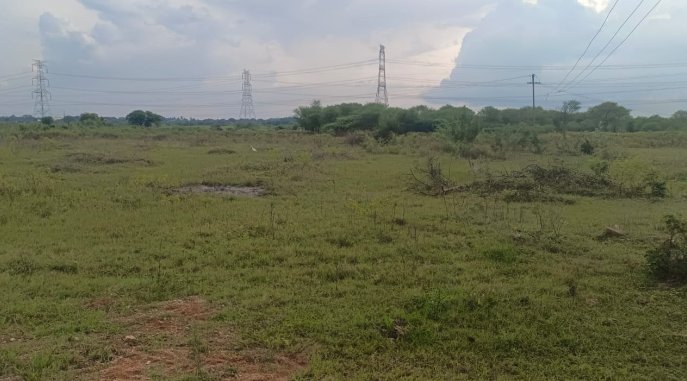 An image of land