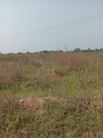 An image of land