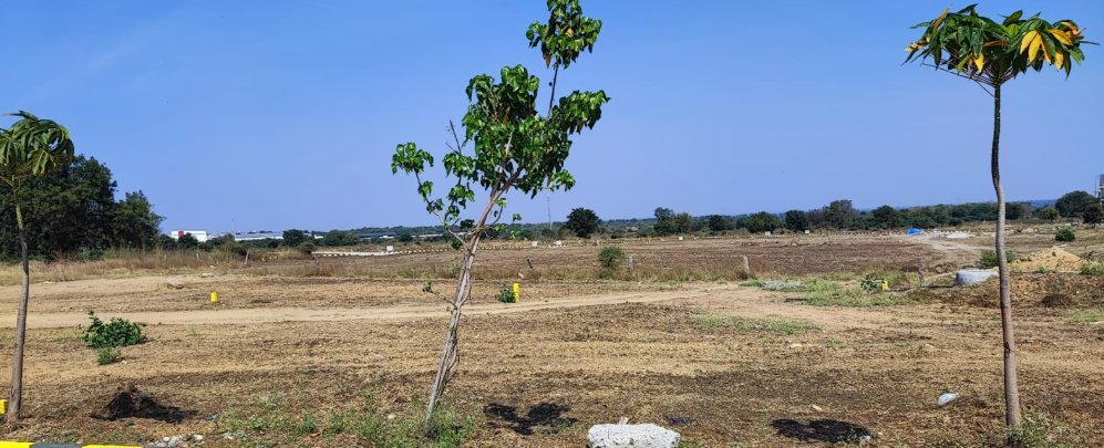 An image of land