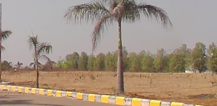 An image of land