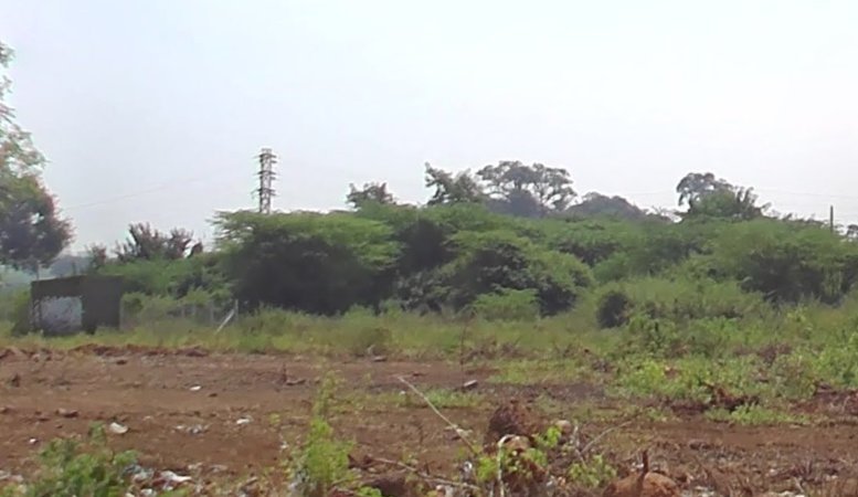 An image of land